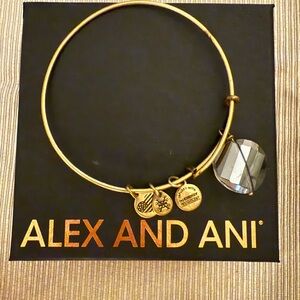 ⭐️ Alex and Ani: Gold Charm Bangle with Crystal Accent